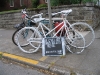 PDX ghost cycle