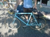 Tucker's Schwinn